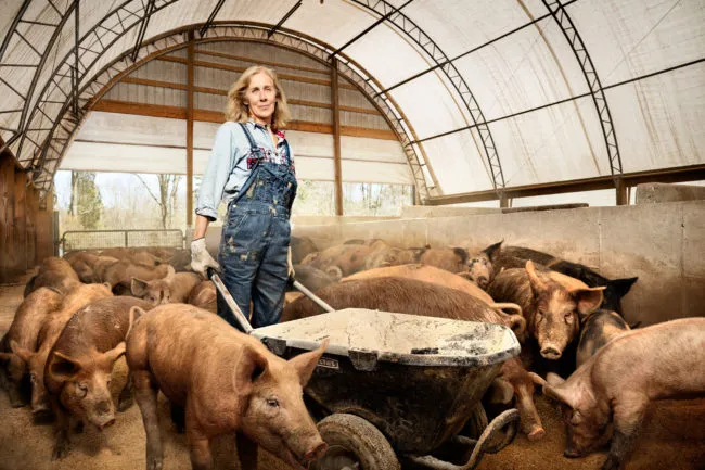 Nancy Poli, Pig Farmer 