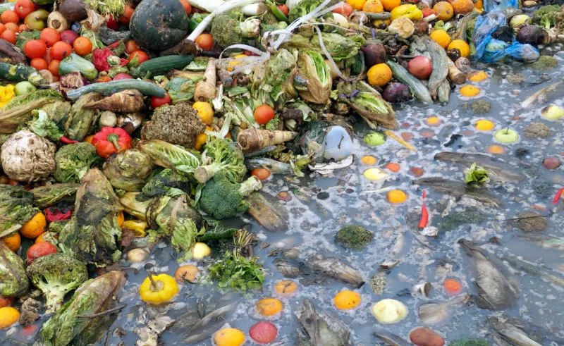 indian-food-waste