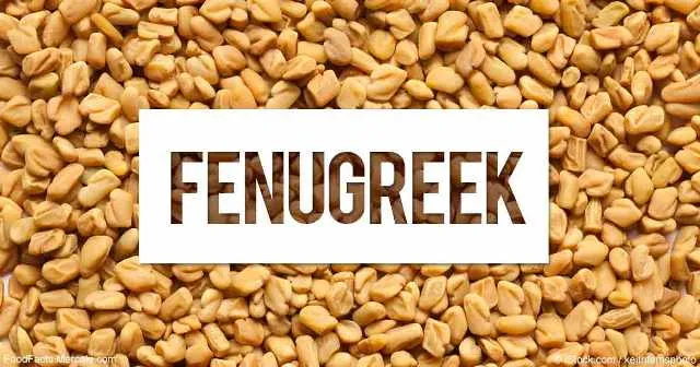 Methi or Fenugreek Benefits : Why It's A Powerful Medicine In Your Kitchen  - SheThePeople TV