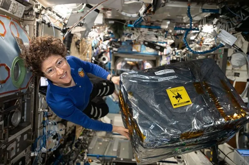 NASA Astronaut Christina Koch 289 days, one year anniversary First woman spacewalk