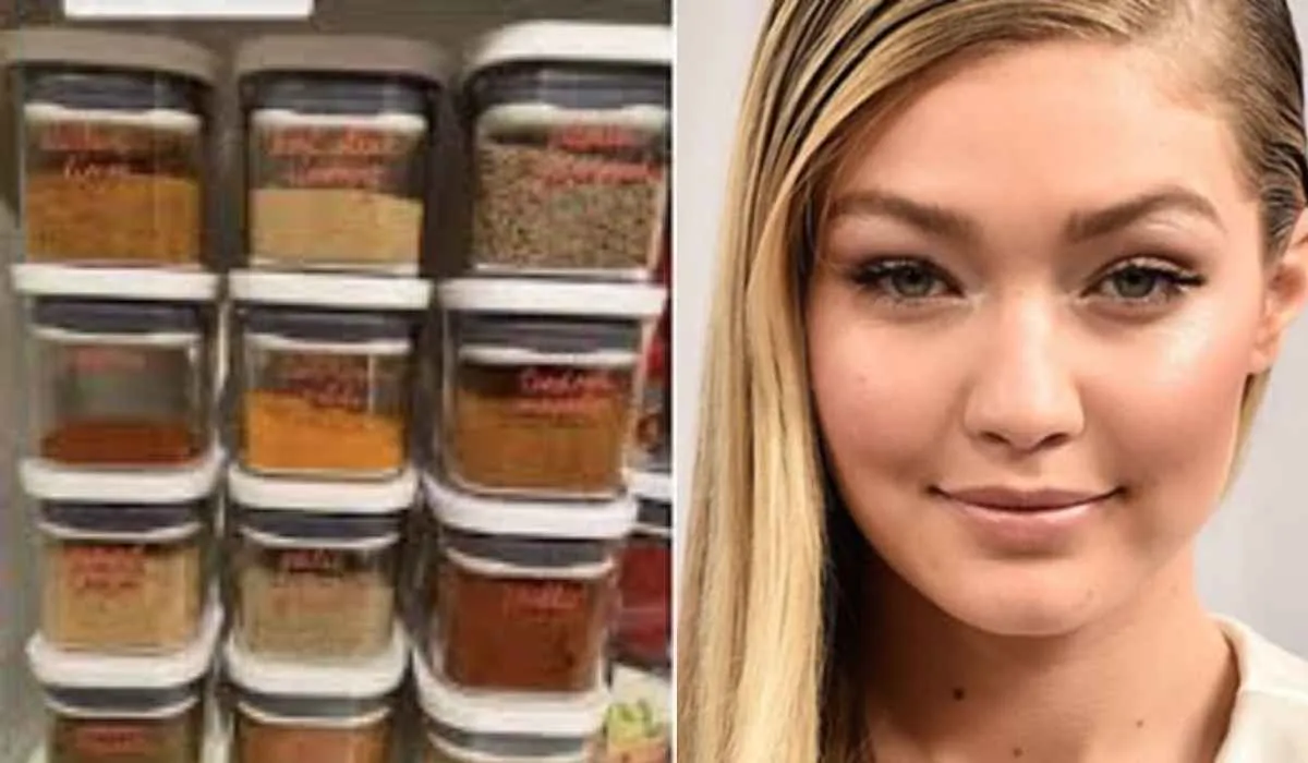gigi hadid indian spices post a pic