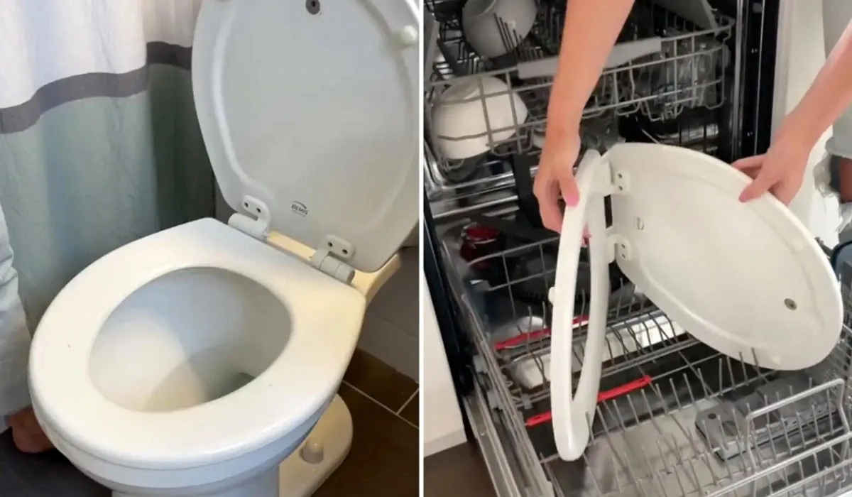 Toilet Cleaning Hack Video Controversy