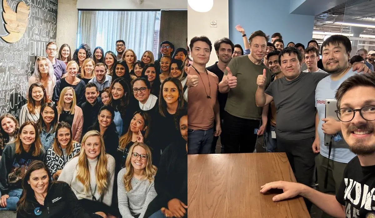 Twitter staff before and after elon musk