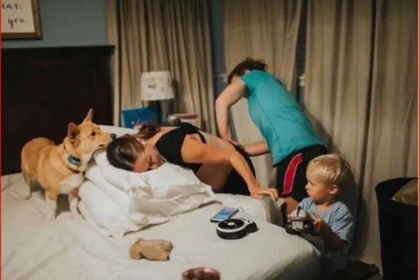 Dog Stays With Owner Giving Birth
