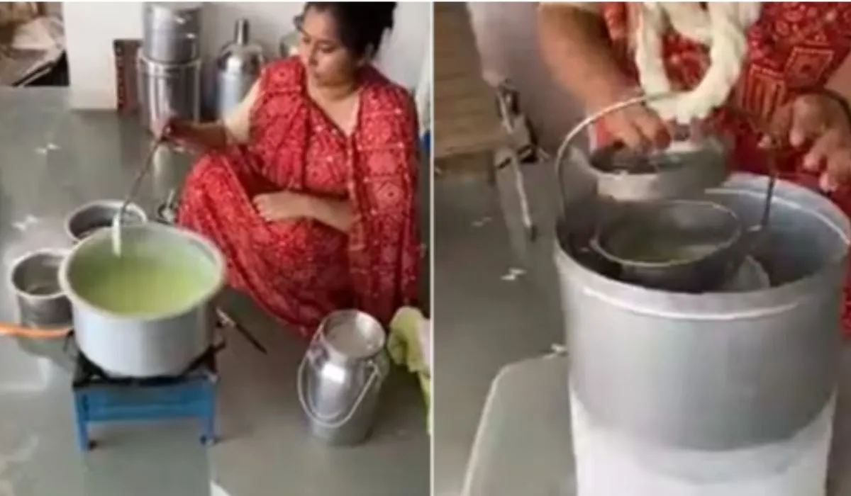 Woman Makes Ice Cream With Fan